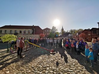 SV-Maibaum2019-2.jpg