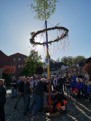 SV-Maibaum2019-1.jpg